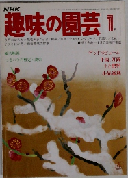 NHK  趣味の園芸　1985年1月号