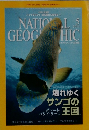 ナショナル・ジオグラフィック日本語版　2011年5月