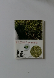 胸がときめき、わくわくする暮らしのなかの、小さな理科体験。