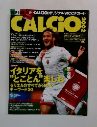 CALCIO 2002年