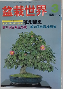 盆栽世界　1983年3月号