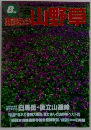 趣味の山野草　8月号