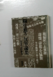 三機編隊の赤翼機  凄惨、帝都を猛襲
