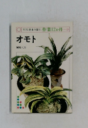 NHK 趣味の園芸 作業12か月　オモト