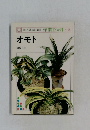 NHK 趣味の園芸 作業12か月　オモト