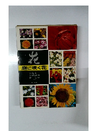 花  庭に咲く花