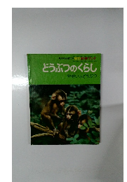 どうぶつのくらし　やせいのどうぶつ