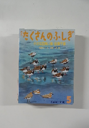 たくさんのふしぎ小さな四