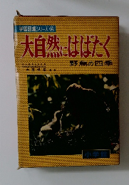 大自然にはばたく