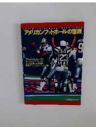 アメリカンフットボールの世界