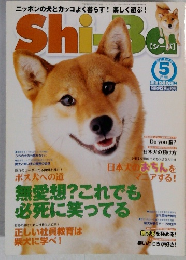 Shiba　2011年5月
