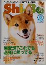 Shiba　2011年5月