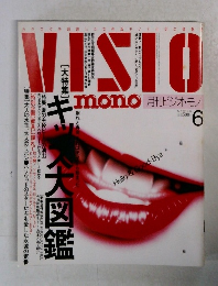 月刊ビジオ・モノ　1991年6月号　No.7