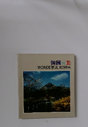 WONDERFUL KOREA