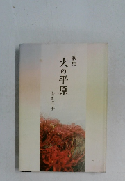 歌集  火の平原