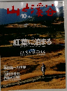 山と渓谷 2005年 10月