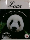 Luca　ルカ