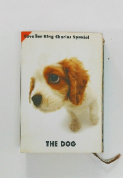 Cavalier King Charles Spaniel  THE DOG