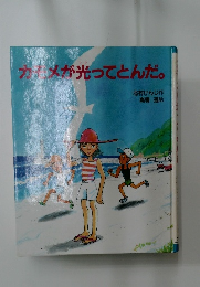 カモメ光ってとんだ