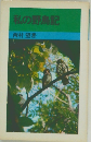 私の野鳥記