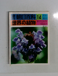 週刊朝日百科　世界の植物　14　オドリコソウサルビア