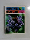 週刊朝日百科　世界の植物　14　オドリコソウサルビア