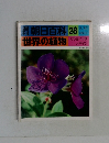 週刊朝日百科　世界の植物　28　マツヨイグサノボタン