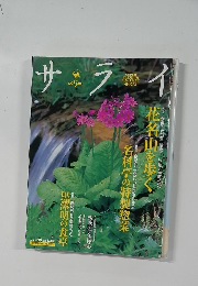 サライ　2001－4