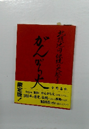 光摂光の伝統の大祭り　がんがら火