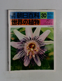 朝日百科　世界の植物　30　メロン パパイヤ