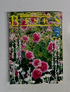 BISES　1996年春号No.24