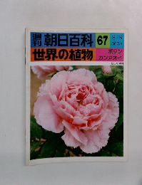 朝日百科　世界の植物　67　3/6