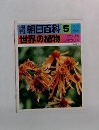 朝日百科 5  世界の植物　ツワブキ  シネラリア