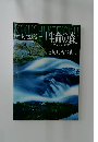 菊池渓谷「生命の森」　