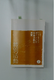 特別活動　平成20年版　