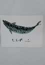 魚の譜