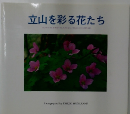 立山を彩る花たち  BEAUTIFUL & PRETTY ALPINE FLOWERS AT TATEYAMA