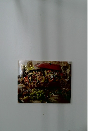 BRUNO コンパクトホットプレート レシピブック