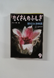 たくさんのふしぎ　2000年9月号