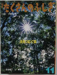 たくさんのふしぎ　2000年11月号