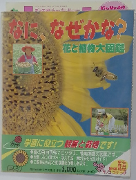 なに、なぜかな?