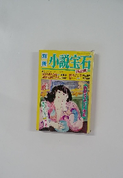 小説宝石