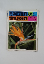 朝日百科  世界の植物 88 ショウガ  バナナ