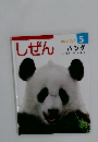キンダーブック　しぜん　5　パンダ