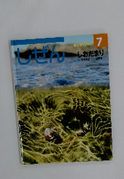 キンダーブック　しぜん　7　しおだまり