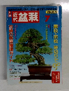 近代盆栽　2002年7月号