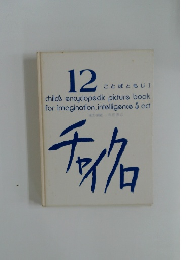 チャイクロ　12