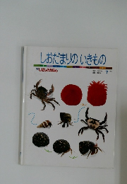しおだまりのいきもの　7