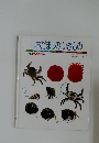 しおだまりのいきもの　7