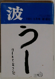 波  1991/6月号/